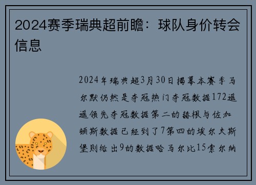 2024赛季瑞典超前瞻：球队身价转会信息
